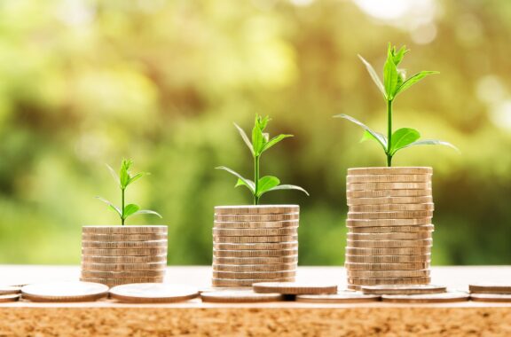 From Investment to Impact